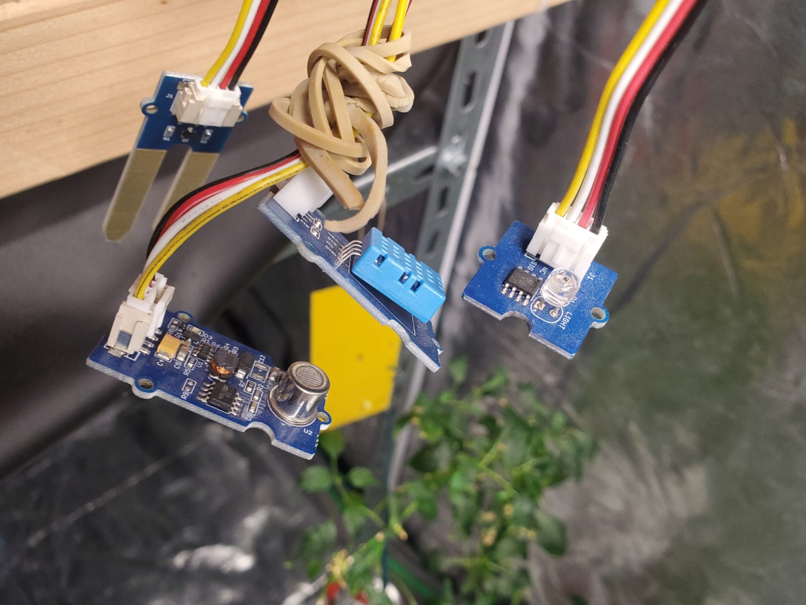 Hydroponics System — Raspberry Pi sensors